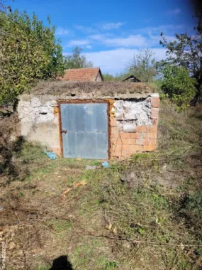 BRASADAS vinde casa in Moftinul Mare.