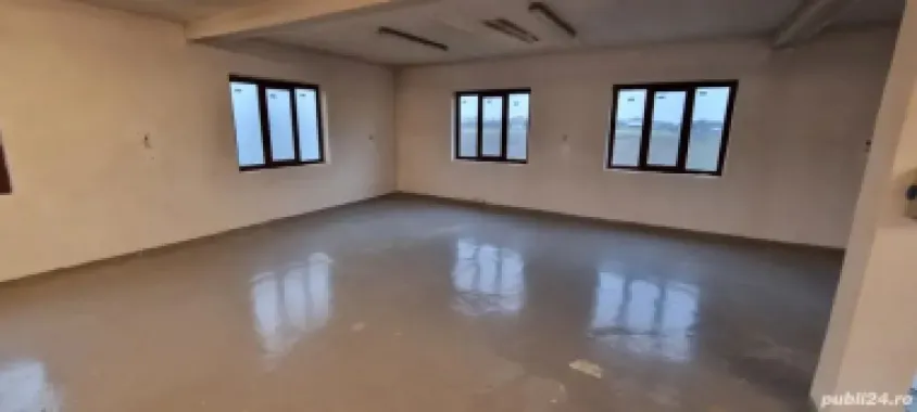 Vând casa și atelierul