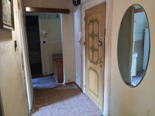 BRASADAS vinde Ap 2 cam 49mp et 4/4 Plopilor - Cluj
