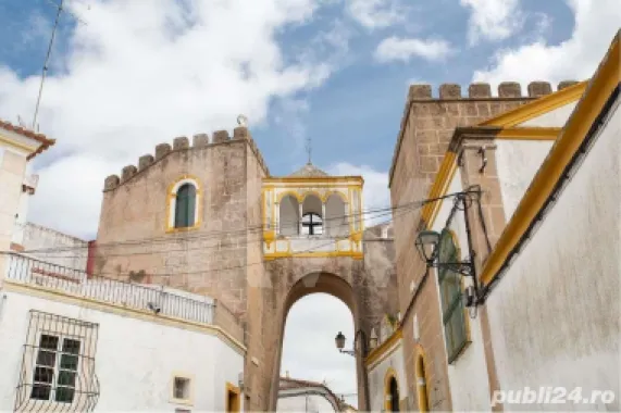 Se vinde Palatul Mesquita Pimentel