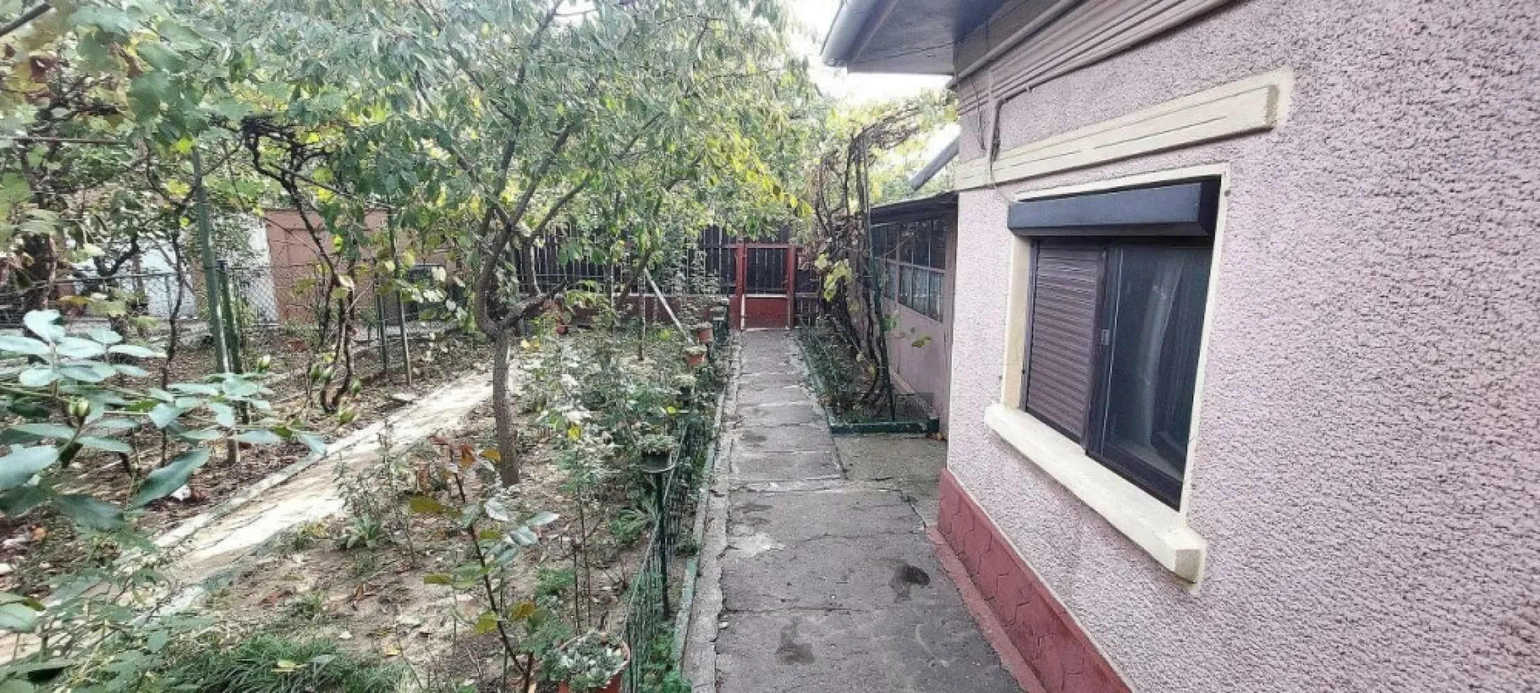 Proprietar casa individuala Bucurestii Noi-Aeromodelului- FARA AGENTII - Proprietar vând casa renovabila de cărămidă, tâmplărie termopan, parchet, construcţie anii '60. Toate utilitatiile sectorului 1. Compartimentare semidecomandata, 3 camere, baie, bucătărie, garaj inchis cu intrare din strada, foişor în curte. Suprafaţa utila 85 mp, suprafaţa totala teren 250,16 mp, deschidere 9,06 ml. Zona frumoasa şi liniştită, în apropiere de mall Colosseum, 15 minute pe jos pana la Metrou Laminorului.
Dispune de cadastru şi intabulare.
Zona Bucurestii Noi, strada Aeromodelului.
Exclusa colaborarea cu agenţii imobiliare.