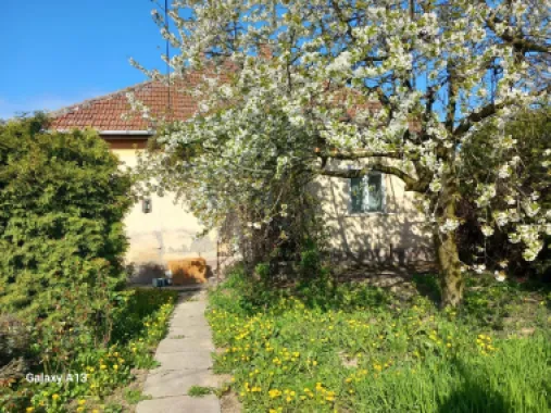 Ag EUROPA vinde casa cu 4 camere si teren de 60 ari in Ambud.