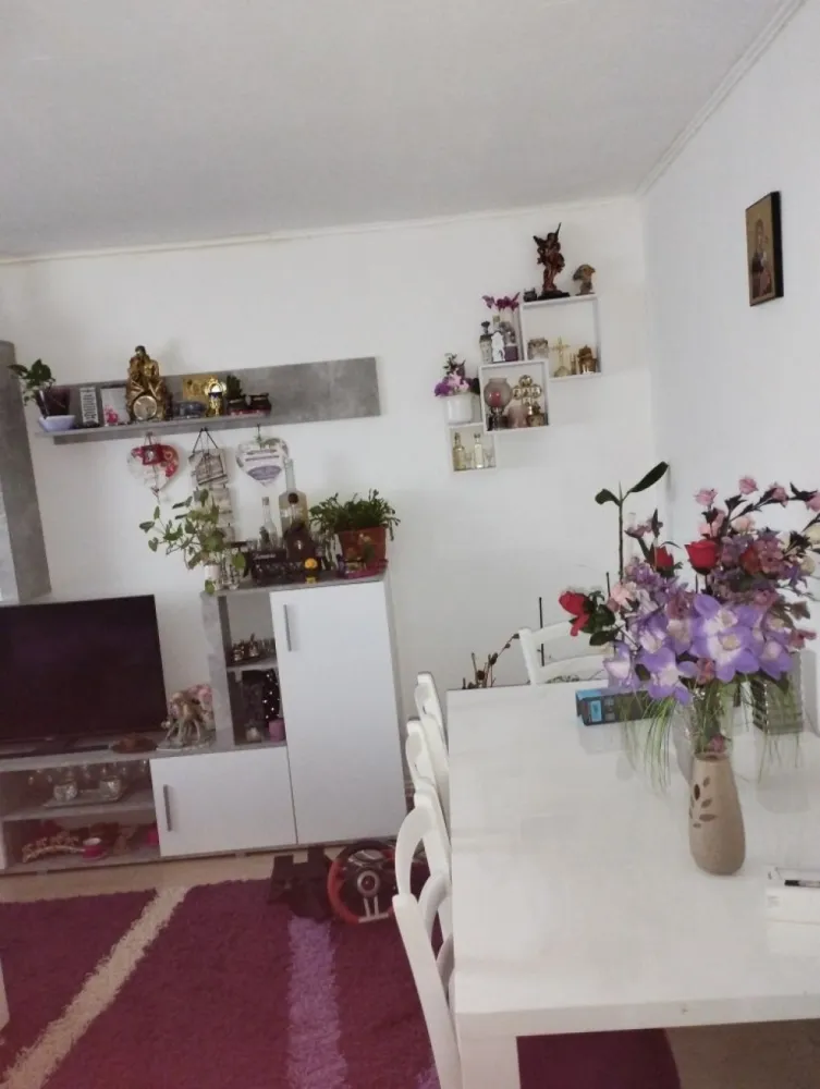 BRASADAS vinde ap 3 cam la PARTER in Micro 16. - Agenția imobiliara BRASADAS vinde apartament mobilat cu 3 camere micro 16 parter înalt mobilat in septembrie, inst electrica noua, 1 baie, una modificată, bucătărie modificată, centrala noua în garanție, termopane etc posibilitate de a avea 2 beciuri uscate betonate, bloc din cărămidă, uscător de haine la toate geamurile.
Se accepta și la schimb cu 2 cam plus diferența la schimb in Micro 16 sau Carpați 2 la parter.
Www.brasadas.com.