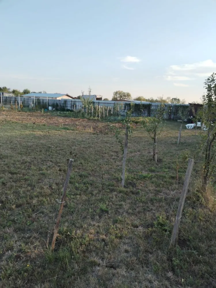 Vand teren intravilan Balta Blonda - Vând 6 arii în zona Balta Blondă la câteva minute de oraș datorită centurii 

Terenul este INTRAVILAN

Este îngrădit, cu drum de acces și utilități în apropierea terenului

Toate actele sunt la zi, fără probleme 

3200€/ arie 

Pentru alte detalii răspund în privat