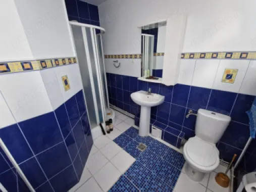 Persoana fizica vand vila zona Bucium