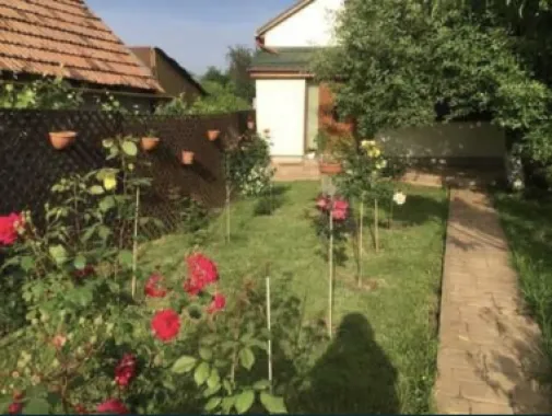 Casa la cheie 4 camere Carei gradina viilor