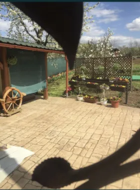 Casa la cheie 4 camere Carei gradina viilor
