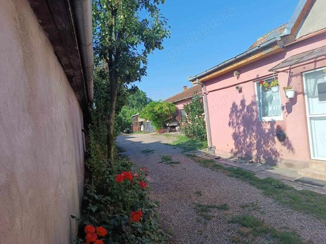 De vânzare casă familială. - De vânzare casă familială în Satu Mare pe strada B-dul Unirii.
Are 5 camere, 2 bucătărie, 2 cămară, 2 baie și 2 hol cu 3 intrări separate.
Este introdus apă, gaz, curent și trifazic și canalizare.
Teren total 1104 mp cu curte și 10 ari grădină.
Toate actele sunt la zi.
Prețul este în Euro și ușor negociabil.