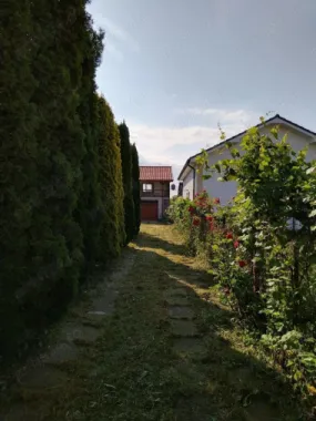 BRASADAS vinde casa cu gradina si garaj.