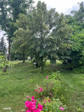 ofer spre vanzare teren pe malul lacului Snagov si vila S+P+E+M