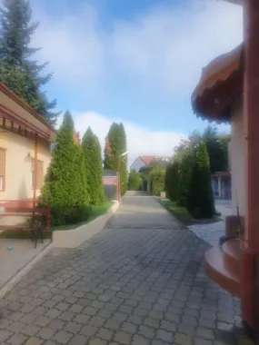 BRASADAS vinde casa si spatiu comercial