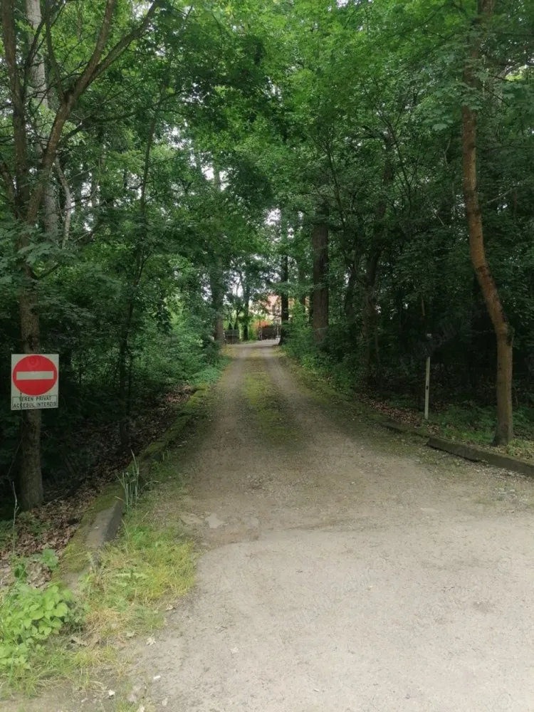 BRASADAS vinde casa tip P+M+D Padurea Noroieni. - Agentia Imobiliara BRASADAS vinde casă tip P+M+D, situată în zona Pădurea Noroieni, îți oferă o astfel de promisiune. O promisiune a unei vieți mai simple, mai sănătoase, mai conectate cu esența naturii.

Ce înseamnă 300 m utili din care 100mp pivnita și 2100 m de teren? Înseamnă spațiu. Spațiu pentru tine, pentru pasiunile tale, pentru familie, pentru a respira adânc și a te reconecta cu tine însuți.

Îți poți imagina mesele în familie cu legume proaspete din propria grădină? Gustul autentic al alimentelor organice, hrănitoare și pline de vitalitate. Un dar prețios pentru sănătatea ta și a celor dragi.

Cum ar fi să nu te mai preocupe facturile uriașe la energie? Panourile fotovoltaice de 13kW oferă independență energetică, o liniște financiară și o contribuție semnificativă la protejarea mediului. O alegere inteligentă și responsabilă.

Îți dorești un loc unde relaxarea este la ea acasă? Jacuzzi, saună, șemineu - oaze de bine și confort, create pentru momente de răsfăț și revitalizare.

Ce reprezintă facilitățile moderne într-un cadru natural? Confortul vieții contemporane îmbinat armonios cu farmecul și liniștea naturii. Ai tot ce îți trebuie la îndemână, fără a renunța la frumusețea și simplitatea vieții în aer liber.

Te atrage ideea unei case deja mobilate și utilate de lux? Un cămin primitor, gata să te îmbrățișeze, fără griji și fără efort suplimentar.

Dar dacă visul tău de a locui într-un astfel de loc ar putea deveni realitate mai ușor decât crezi? Finanțarea directă de la proprietar, în rate flexibile pe până la 3 ani, îți deschide o poartă spre posibilități neașteptate.

Nu-i așa că îți dorești un loc unde să te simți cu adevărat acasă? Un refugiu personal, o oază de liniște, un spațiu unde tu și cei dragi puteți crește, vă puteți dezvolta și puteți trăi o viață împlinită.

Această casă este mai mult decât o proprietate. Este o invitație la un stil de viață diferit. Un stil de viață care pune preț pe sănătate, natură, armonie și bunăstare.

Pentru cine este această casă? Pentru cei care prețuiesc liniștea, natura și un stil de viață sănătos. Pentru familii care își doresc o copilărie de calitate pentru copiii lor. Pentru cei care caută un refugiu personal, departe de agitația orașului.

Te invită să te oprești, să respiri adânc și să te imaginezi trăind aici. Să simți liniștea, să guști aerul curat, să te bucuri de frumusețea naturii.

Dacă te atrage această imagine, poate că această casă este locul pe care îl cauți.

Vino să o descoperi. Sună și programează o vizionare.

Www.brasadas.com.
