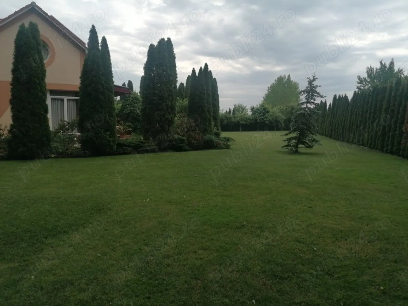 BRASADAS vinde casa tip P+M+D Padurea Noroieni. - Agentia Imobiliara BRASADAS vinde casă tip P+M+D, situată în zona Pădurea Noroieni, îți oferă o astfel de promisiune. O promisiune a unei vieți mai simple, mai sănătoase, mai conectate cu esența naturii.

Ce înseamnă 300 m utili din care 100mp pivnita și 2100 m de teren? Înseamnă spațiu. Spațiu pentru tine, pentru pasiunile tale, pentru familie, pentru a respira adânc și a te reconecta cu tine însuți.

Îți poți imagina mesele în familie cu legume proaspete din propria grădină? Gustul autentic al alimentelor organice, hrănitoare și pline de vitalitate. Un dar prețios pentru sănătatea ta și a celor dragi.

Cum ar fi să nu te mai preocupe facturile uriașe la energie? Panourile fotovoltaice de 13kW oferă independență energetică, o liniște financiară și o contribuție semnificativă la protejarea mediului. O alegere inteligentă și responsabilă.

Îți dorești un loc unde relaxarea este la ea acasă? Jacuzzi, saună, șemineu - oaze de bine și confort, create pentru momente de răsfăț și revitalizare.

Ce reprezintă facilitățile moderne într-un cadru natural? Confortul vieții contemporane îmbinat armonios cu farmecul și liniștea naturii. Ai tot ce îți trebuie la îndemână, fără a renunța la frumusețea și simplitatea vieții în aer liber.

Te atrage ideea unei case deja mobilate și utilate de lux? Un cămin primitor, gata să te îmbrățișeze, fără griji și fără efort suplimentar.

Dar dacă visul tău de a locui într-un astfel de loc ar putea deveni realitate mai ușor decât crezi? Finanțarea directă de la proprietar, în rate flexibile pe până la 3 ani, îți deschide o poartă spre posibilități neașteptate.

Nu-i așa că îți dorești un loc unde să te simți cu adevărat acasă? Un refugiu personal, o oază de liniște, un spațiu unde tu și cei dragi puteți crește, vă puteți dezvolta și puteți trăi o viață împlinită.

Această casă este mai mult decât o proprietate. Este o invitație la un stil de viață diferit. Un stil de viață care pune preț pe sănătate, natură, armonie și bunăstare.

Pentru cine este această casă? Pentru cei care prețuiesc liniștea, natura și un stil de viață sănătos. Pentru familii care își doresc o copilărie de calitate pentru copiii lor. Pentru cei care caută un refugiu personal, departe de agitația orașului.

Te invită să te oprești, să respiri adânc și să te imaginezi trăind aici. Să simți liniștea, să guști aerul curat, să te bucuri de frumusețea naturii.

Dacă te atrage această imagine, poate că această casă este locul pe care îl cauți.

Vino să o descoperi. Sună și programează o vizionare.

Www.brasadas.com.