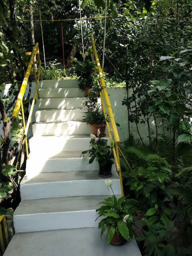 Casa, 3 dormitoare si living, de vînzare în Copou, an constr.2004 - Casă are la etaj: 3 dormitoare, 1 baie, hol si terasa ; la parter living, bucătărie, 1 baie, balcon si beci. --- In camare s-a pus parchet de calitate superioara, iar in holuri , baii si beci sa pus gresie si faianta moderna. --- In curte o magazie pentru scule și teren 500 mp.. --- Suprafata total construita 127mp. Suprafata utila 100mp. --- Anul constr. 2004.
 Casa se află într-o zonă foarte frumoasa și liniștită în Copou Iași, la 5 minute de Parcul Copou, unde troneaza Teiul lui Eminescu . --- In aproape sunt magazine , restaurante, grădinițe, scoli, spitale, universitate.
 Casa dispune de toate utilitățile: lumina, gaz, apă, internet, centrală pe gaz. Pe teren s-a plantat pomii, vie, o frumoasă pădure de brazi și o binevenită grădină de legume.
 Se poate construi și piscină cu apă de la fîntînă.