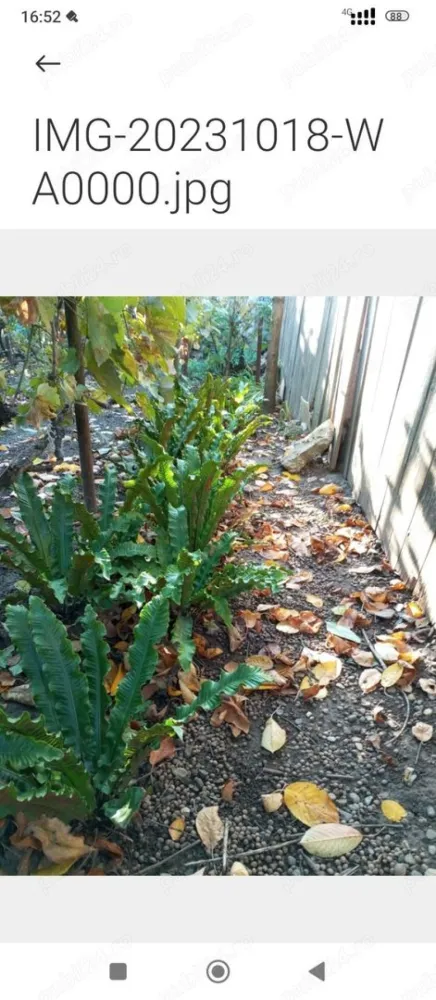 Casă și teren zonă ultracentrală,560 000 euro - Vând casă și teren zonă ultracentrală, Sf Andrei 280 mp poze reale ,la prețul de 560 000 euro
Mai multe detalii la telefon zero 7trei8 doi21 doi4trei.
Actele sunt la zi.
