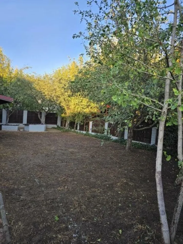 Casa individuala sector 5, strada dantelei, 500 m2 curte - Casă în Sector 5, Strada Dantelei, Imobil individual, curte 500m2, drum de servitute, toate utilitatile. 
Descoperiţi această locuinţă superbă situată pe Strada Dantelei din sectorul 5, o adevărată oază de linişte şi confort. Această casă bine construită oferă un spaţiu generos şi funcţional pentru întreaga familie.

Caracteristici principale:

Suprafaţă: 200 mp utili
Camere: 4 dormitoare + living spaţios
Bai: 2 
Curte: Generoasă, perfectă pentru relaxare şi activităţi în aer liber, 

Locaţie: Departe de traficul aglomerat, dar aproape de toate facilităţile urbane esenţiale
Detalii suplimentare:

Dormitoare: Spaţioase şi luminoase, fiecare cu acces facil la băi moderne şi bine echipate.
Living: Mare şi primitor, ideal pentru momentele de relaxare în familie sau pentru a primi oaspeţi.

Curte: Perfectă pentru activităţi de familie, grătar sau pur şi simplu pentru a te bucura de aer liber.
2 Terase 
Avantaje:

Accesibilitate: Aproape de şcoli, supermarketuri, parcuri şi mijloace de transport în comun.
Zona: Liniştită, ferită de agitaţia şi zgomotul urban, oferind totuşi acces rapid la facilităţile necesare traiului cotidian.
Construcţie: Materiale de calitate şi finisaje moderne, oferind confort şi siguranţă.
Această casă este alegerea perfectă pentru cei care caută un cămin liniştit, bine poziţionat şi dotat cu toate facilităţile necesare unui trai urban modern. Nu rataţi ocazia de a vă muta în această proprietate deosebită!