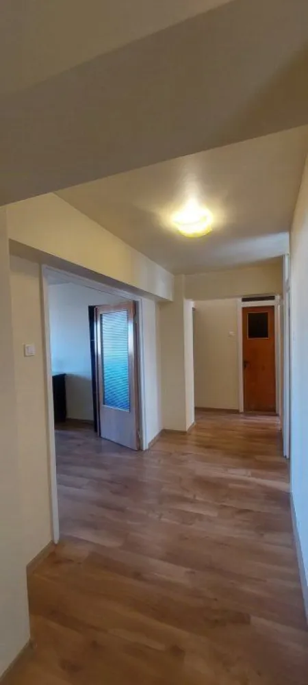 Vand apartament 4 camere situat la 10 min de Piata Unirii - Cautati un apartament spatios, intr-un bloc linistit, la 12 minute de centrul Capitalei?
Va prezentam spre vanzare un apartament deosebit, decomandat, cu 4 camere (un living spatios si 3 dormitoare linistite), 2 grupuri sanitare (unul cu cada si celalalt cu cabina de dus), 2 balcoane luminoase si eficient compartimentate, si o camara incapatoare. Logiile au acces din dormitoare: un balcon are vedere catre centrul orasului, iar celalalt catre zona interioara a blocului, cu vedere catre un parculet.
Apartamentul este complet renovat, reabilitat termic si are o suprafata utila generoasa de 80 mp. 
Situat la intersectia Calea Rahovei cu strada Mihail Sebastian, acest apartament este situat la etajul 3 din 10, in cadrul unui imobil construit in anul 1982. 
Apartamentul dispune de usa metalica, tamplarie PVC cu geamuri termopan, gresie, faianta, parchet laminat, conexiune de internet. 
Apartamentul este partial mobilat si utilat, oferind cumparatorului posibilitatea de a-l amenaja si decora dupa propriile preferinte.
Scara de bloc este curata si linistita, iar vecinii sunt amabili si civilizati.
Blocul este complet anvelopat termic.
In proximitate se afla gradinite, scoala generala nr. 280, scoala privata Micul Lord, centre educationale pentru copii printre care Art Kids Club, centre comerciale (Centrul Comercial Vulcan, Mega Image, Piata Rahova, Carrefour), farmacii cu program non-stop, banci si mijloace de transport in comun care ofera acces rapid catre toate zonele de interes ale capitalei.
Aparamentul se afla la 12 minute cu masina sau tramvaiul de Piata Unirii si statiile de metrou Piata Unirii 1 si 2.
Imobilul este ideal pentru o familie sau pentru sediu de firma, avand camere suficiente pentru birouri multiple.
Actele de vanzare sunt pregatite, iar mutarea se poate face imediat.
Apartamentul poate fi vizionat oricand, stabilind data si ora in prealabil.