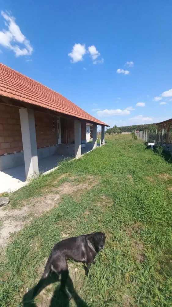 Vând casă în Gelu - Vând casă în localitarea Gelu,construită în anul 2020,în suprafață de 108 mp,2 camere,hol,baie,bucătărie,cămară de alimente,curent,apă,canalizare,faianță,gresie,geamuri,uși termopan,mobilat,gazul urmează să se introducă,respectiv o bucătărie de vară în suprafață de 32 mp,si anexă gospodărească.Suprafața totală 1284 mp.