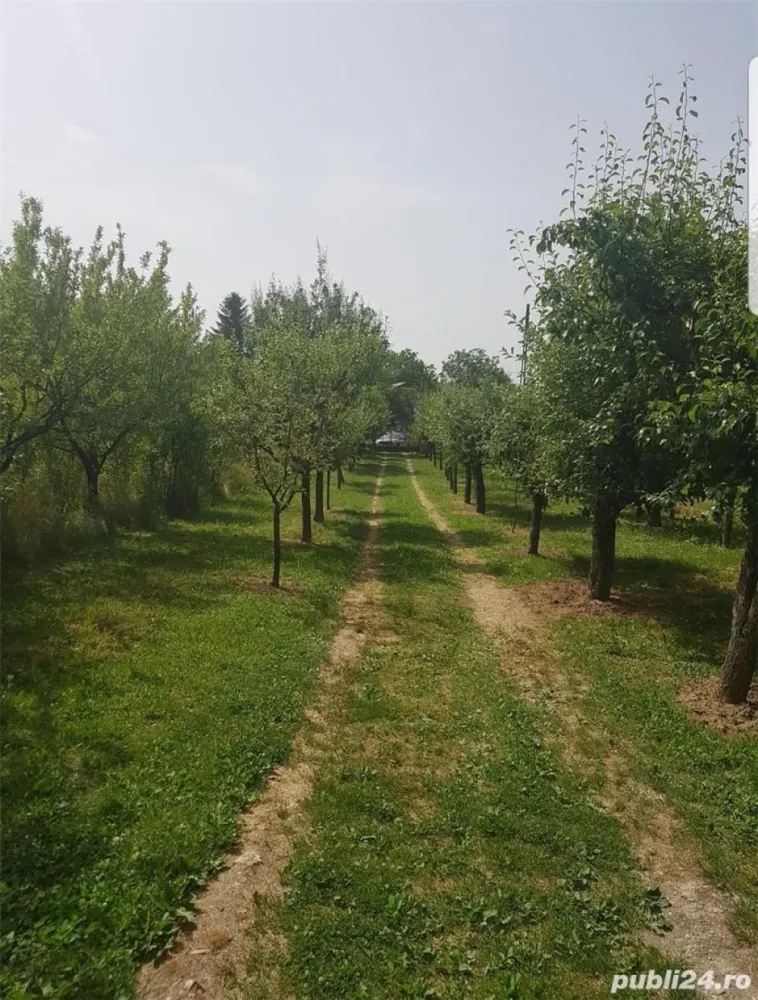 Vand schimb casa, teren Viile Satu Mare cu apartament, casa cu si fara diferenta - Vand schimb casa si teren Viile Satu Mare, teren front 15 m lungime 310, acces 2 parti una la drum asfaltat celalalt la drum pietruit cu perspectiva de asfaltare. Casa P+1 cu beci, terasa si fundatie turnata pentru extindere. Intrarea are livada de pomi acces auto aproximativ 50 metri pana la casa edificata. Suprafata totala 47 ari intravilan. Se vinde la prețul de 57.500 Euro terenul de acces si casa edificata. Suprafata de 47 ari doc parcelare la 80 Euro metru patrat teren, negociabil.