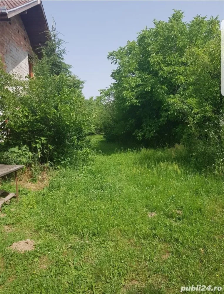 Vand schimb casa, teren Viile Satu Mare cu apartament, casa cu si fara diferenta - Vand schimb casa si teren Viile Satu Mare, teren front 15 m lungime 310, acces 2 parti una la drum asfaltat celalalt la drum pietruit cu perspectiva de asfaltare. Casa P+1 cu beci, terasa si fundatie turnata pentru extindere. Intrarea are livada de pomi acces auto aproximativ 50 metri pana la casa edificata. Suprafata totala 47 ari intravilan. Se vinde la prețul de 57.500 Euro terenul de acces si casa edificata. Suprafata de 47 ari doc parcelare la 80 Euro metru patrat teren, negociabil.