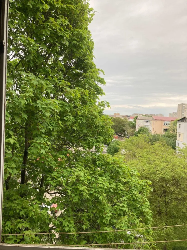 Apartament 3 camere - Vand apartament cu 3 camere, semidecomandat, pe strada Arinului colt cu Careiului, etajul 4, cu acoperis, din caramida. 
Apartamentul a fost renovat complet : instalatia electrica schimbata, geamuri termopane, centrala termica, aer conditionat. 
Balcon, beci privat de 6mp cu curent gresie rafturi, uscatorie comuna pentru depozitare.
Este situat intr-o zona linistita cu o priveliste minunata.
Este complet mobilat si utilat gata sa te primeasca.
In apropiere este Auchan, KFC, benzinărie, spital, piata, statie de bus in fata scarii, scoala. 
Cine este interesat il rog sa ma contacteze la nr. de tel. 07******79 sau 07******63.