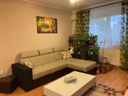Apartament 3 camere