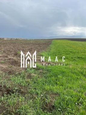 Logo MAAC IMOBILIARE logo