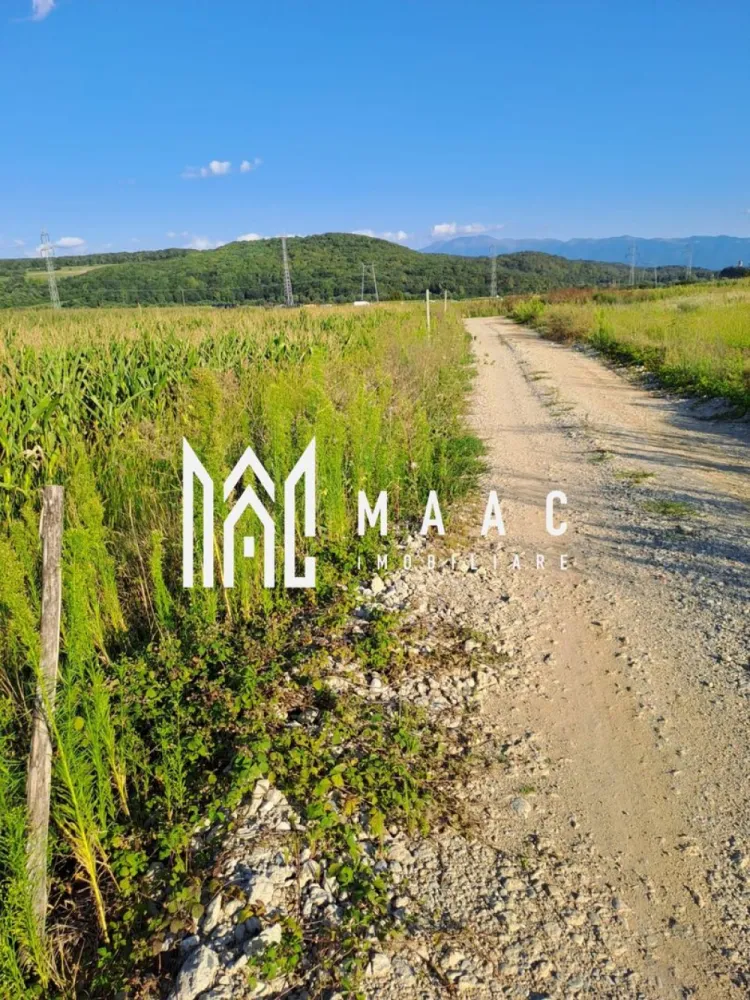 Teren extravilan cu PUZ I 500 mp I Șelimbăr -Bungard I Acces privat - MAAC Imobiliare propune spre vânzare o parcelă de teren extravilan cu suprafața de 500 mp + cotă parte drum Șelimbăr-Bungard ,după pod

Situat într-o zonă cu potențial de dezvoltare, acest teren extravilan este ideal pentru construcția unei anexe agricole sau amenajarea unei grădini personale.

Suprafață totală: 500 mp + cotă parte din drumul de acces

Front stradal: 21 m

Localizare: Șelimbăr, la doar 200 m de drumul principal

Acces: pe drum privat, zonă liniștită și ușor accesibilă

Destinație: anexă agricolă, grădină personală, investiție

Plan parcelar PUZ : în curs de realizare de către Primăria Șelimbăr

Utilități: la aproximativ 200 m distanță

Vecinătăți: peste 50 de parcele, unele deja construite

Acces, puncte de interes:
3 minute de Primăria Șelimbăr

7 minute de Mall (Shopping City Sibiu)

O alegere excelentă pentru cei care caută liniște, spațiu și potențial pe termen lung.

Pentru mai multe informații specificați că ați văzut anunțul cu ID: CP2503949.