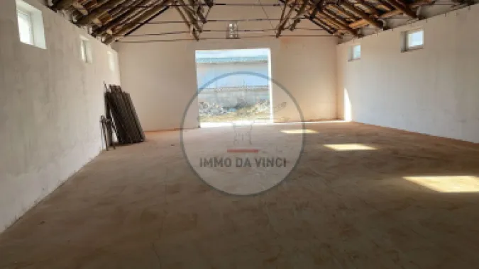 Logo Immo DaVinci logo