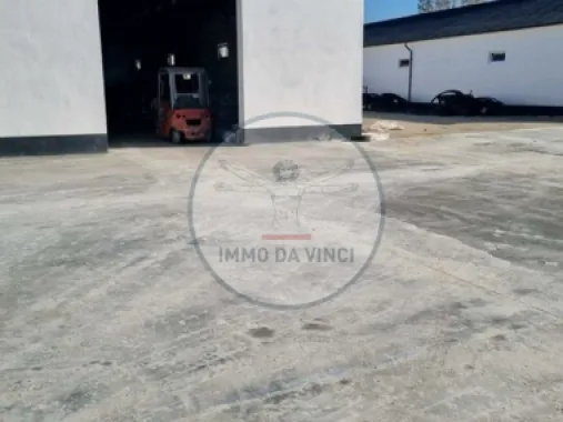 Inchiriem Hale Industriale / locuri de depozitare /birouri