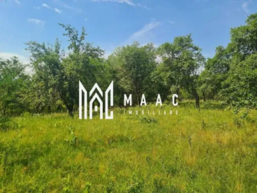 Logo MAAC IMOBILIARE logo