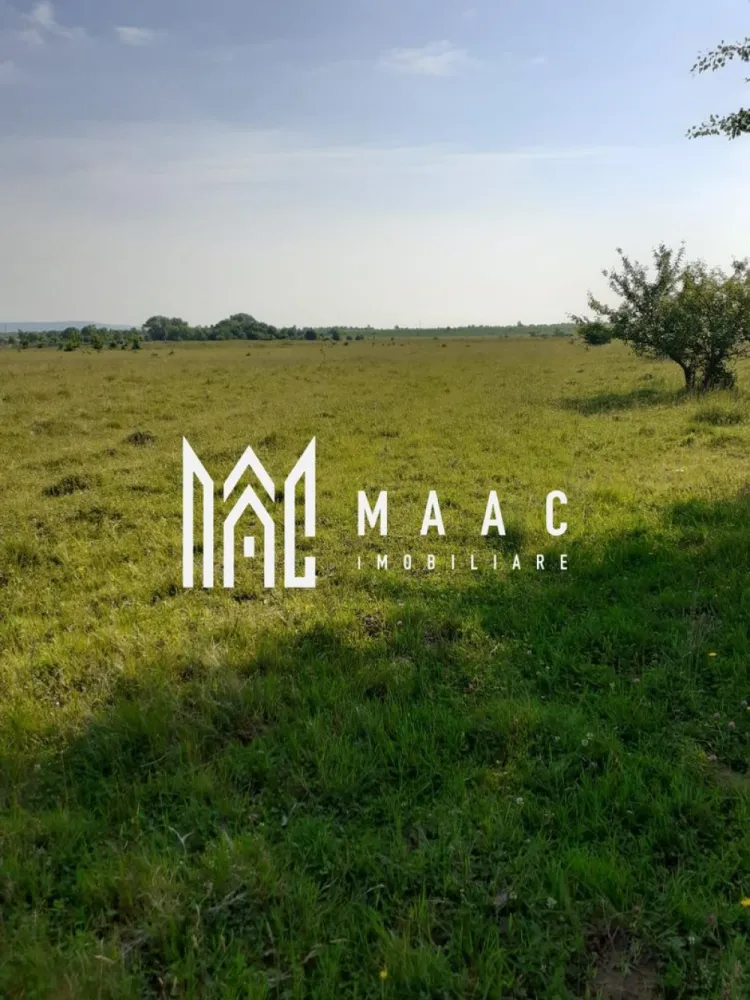 Teren | Intravilan |5.000 MP | Valea Avrigului - MAAC Imobiliare vă oferă spre vânzare un teren intravilan ideal pentru investiții, situat într-o zonă pitorească pe partea stângă cum urcați spre 

 Cabana Ghiocelul. 

Terenul are o suprafață de 5000 mp, cu un front stradal de 22 m și o adâncime de 200 m. 

Pentru mai multe detalii, vă rugăm să ne contactați specificând ID:CP2462286