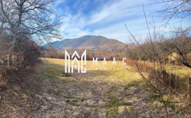 Teren | Intravilan I 2300 MP I Utilitati | Rasinari
