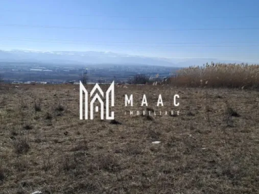 Logo MAAC IMOBILIARE logo