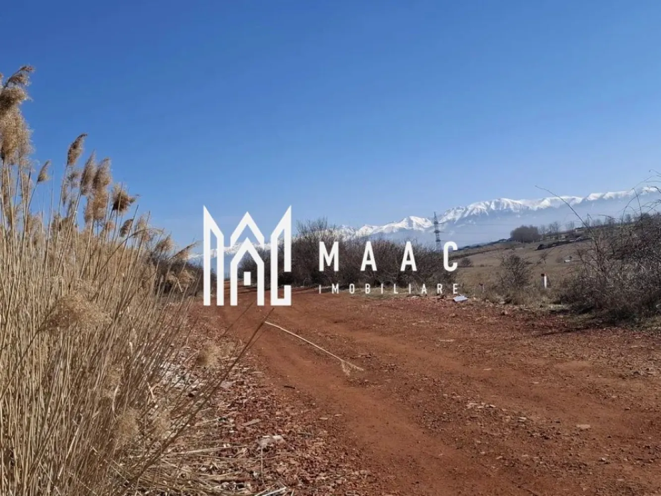 Teren Extravilan I 3400mp I Intabulat I Zona Dealul Daii - MAAC Imobiliare propune spre vânzare un teren extravilan cu suprafața de 3400 mp, situat în zona Dealul Daii, la o distanță de aproximativ 5 km de municipiul Sibiu.

Caracteristici principale:

Suprafață totală: 3400 mp

Regim juridic: extravilan, intabulat, liber de sarcini

Acces: drum practicabil, acces auto facil

Alte detalii: posibilitate de parcelare și inițiere demersuri pentru schimbare de destinație

Context investițional: Zona Dealul Daii se află într-un perimetru cu potențial de dezvoltare pe termen mediu și lung, având avantajul proximității față de Sibiu, dar și al deschiderii către proiecte viitoare. Terenul poate fi valorificat atât ca lot individual, cât și prin parcelare, în funcție de planul de investiție.

📞 Pentru detalii suplimentare sau programarea unei vizionări, vă rugăm să ne contactați la 0722 622 403 și să menționați ID-ul CP2391846.

MAAC Imobiliare – pentru că meriți maacsim.