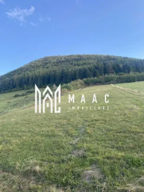 Teren Intravilan I 4129 MP I Gura Raului
