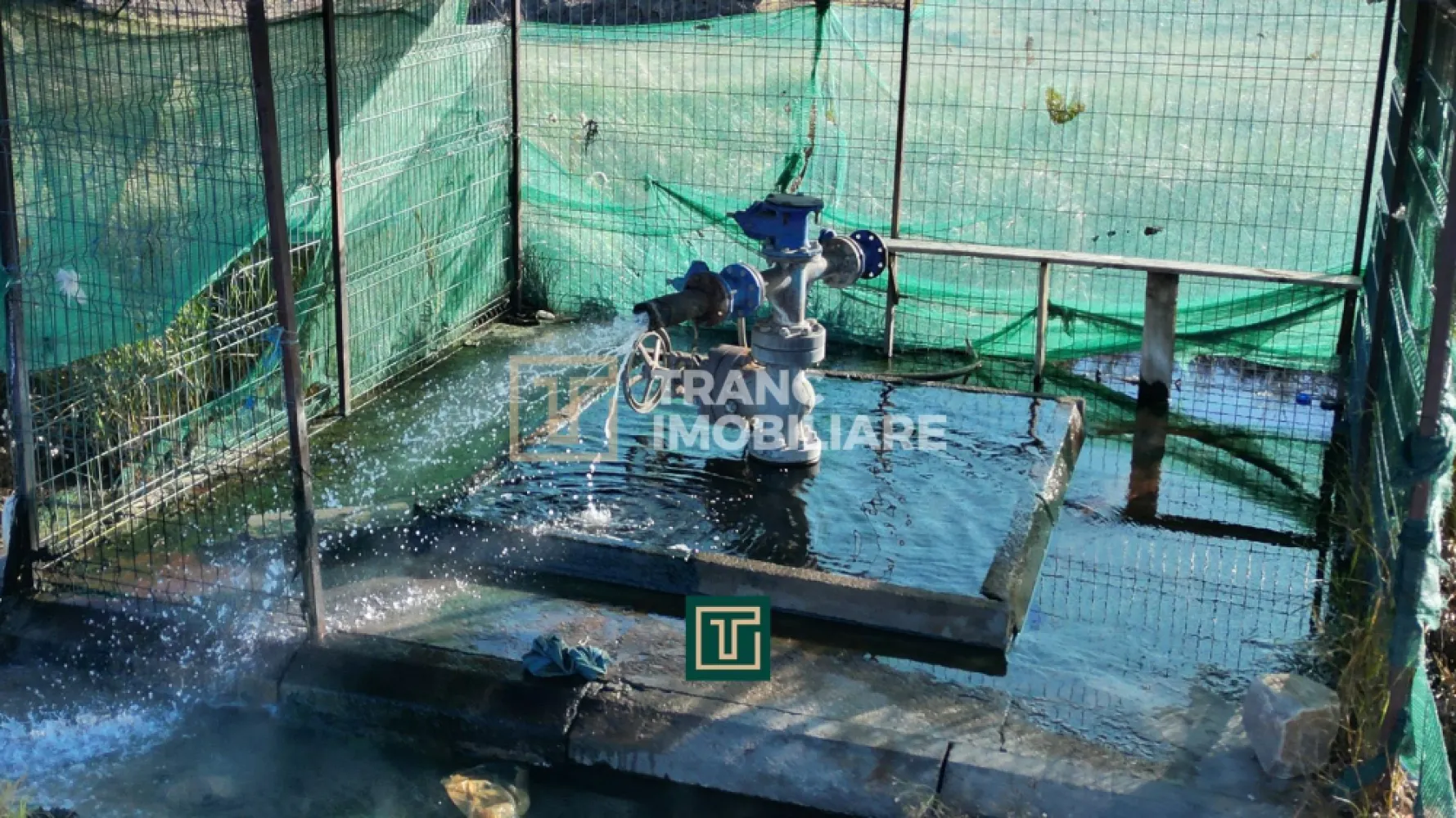 PUT GEOTERMAL NATURAL PE UN TEREN DE 36.476 MP IN SOCODOR, ARAD - PUT GEOTERMAL NATURAL PE UN TEREN DE 36.476 MP IN SOCODOR, ARAD

Oportunitate strategică pentru investiții în energie, turism și sănătate

Proprietatea pune la dispoziția investitorilor un put geotermal natural, rezultat dintr-o resursă existentă în subsolul zonei, nu dintr-un foraj artificial, un avantaj major care confirmă stabilitatea, continuitatea și calitatea ridicată a apei termale. Pe terenul de 36.476 mp se găsește acest put natural, cu o temperatură de aproximativ 62°C la suprafață și o adâncime de peste 2.000 de metri, livrând un debit constant de 3,5 litri pe secundă. Calitatea apei este confirmată prin analize oficiale realizate de Ministerul Sănătății, care atestă compoziția excelentă și potențialul terapeutic ridicat al resursei. Resursa este de înaltă calitate, predictibilă și ideală pentru dezvoltări comerciale de amploare. Apa conține gaze cu puritate superioară, ce pot fi extrase prin barbotaj și folosite pentru încălzire, reducând semnificativ costurile operaționale ale oricărui proiect.

Licența de explorare există și poate fi activată imediat după stabilirea destinației investiției, având o valabilitate de 49 de ani. În timp ce apa rămâne în proprietatea statului, investitorul primește drept complet de explorare și exploatare, iar terenul pe care se află putul natural este proprietate privată și inclus integral în vânzare. Pe una dintre laturile terenului se află linia ferată 313 Nădab–Grăniceri, o infrastructură secundară în prezent închisă pentru pasageri, dar care poate fi reactivată pentru logistică sau transport de marfă, un beneficiu rar pentru proiectele industriale sau turistice mari.

Din punct de vedere terapeutic, apa geotermală prezintă proprietăți valoroase, cu indicații în numeroase afecțiuni, precum: afecțiuni reumatismale degenerative, reumatism abarticular, afecțiuni reumatismale inflamatorii cronice, afecțiuni post-traumatice, afecțiuni neurologice periferice cronice și afecțiuni ginecologice cronice. Datorită caracteristicilor excepționale ale resursei geotermale naturale, proprietatea este ideală pentru dezvoltarea unui complex SPA & wellness, a unui resort termal, a unei clinici balneare, a unor sere încălzite geotermal, a unui eco-resort, sau pentru proiecte de energie regenerabilă și micro-producție energetică. Totodată, investiția este eligibilă pentru finanțări europene în domeniul turismului, sănătății, energiei regenerabile și agriculturii protejate.

Această ofertă reprezintă o oportunitate rară și de mare valoare în vestul României, reunind o resursă geotermală naturală, un teren generos, infrastructură existentă și potențial major de dezvoltare pe termen lung. Se adresează investitorilor care caută un proiect scalabil, sustenabil și cu un ROI solid într-o zonă cu resurse naturale de excepție.