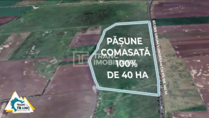 Teren PASUNE de 40ha, Comasat 100%, cu FS de 961 ml la Drumul European
