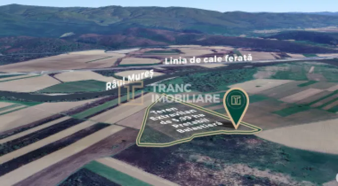 Teren extravilan de 5,99 ha la 200 m de Mureș, ideal pentru balastieră în Ususău