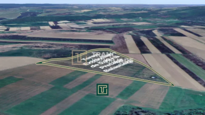 Teren extravilan de 5,99 ha la 200 m de Mureș, ideal pentru balastieră în Ususău