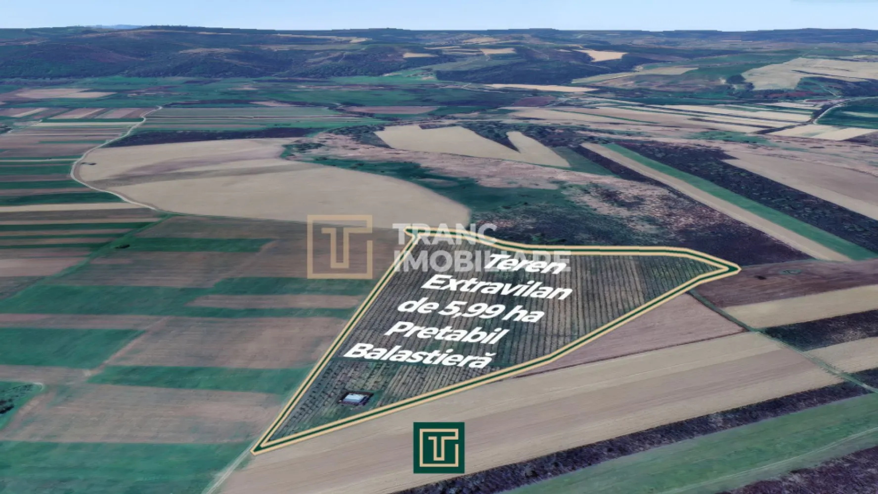 Teren extravilan de 5,99 ha la 200 m de Mureș, ideal pentru balastieră în Ususău - Se vinde un teren extravilan comasat 100%, cu o suprafață de 5,99 hectare, situat în Ususău, într-o zonă foarte potrivită pentru deschiderea unei balastiere. Proprietatea se află la doar 200 de metri de malul râului Mureș și la aproximativ 500 de metri de linia de cale ferată, având astfel un potențial ridicat pentru exploatarea agregatelor.

Terenul beneficiază de acces la trei drumuri agricole care duc direct până la Mureș, facilitând intrarea utilajelor, transportul materialelor și dezvoltarea infrastructurii necesare. Curentul electric se află la circa 1 km de proprietate, ceea ce permite conectarea ulterioară în funcție de planul de dezvoltare al investitorului.

Pe teren există în prezent o plantație de paulownia și un sistem de irigații instalat pe întreaga suprafață, ceea ce confirmă că terenul este lucrat, întreținut și dispune de acces la apă, un avantaj suplimentar pentru orice activitate industrială sau agricolă. Zona este recunoscută pentru existența mai multor balastiere în proximitate, ceea ce confirmă calitatea solului, fezabilitatea exploatărilor și faptul că localizarea este deja validată pentru astfel de activități. Proprietatea este ideală pentru investitori care caută un teren generos, ușor accesibil, într-o zonă unde proiectele de exploatare a materialelor de construcții sunt deja consacrate. Actele sunt la zi, terenul este liber de sarcini și pregătit pentru tranzacționare.

Pentru mai multe detalii, nu ezitati sa ne contactati