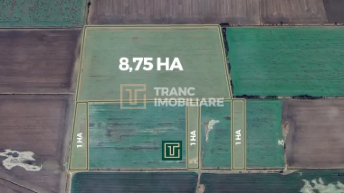 Teren agricol de 11,75 ha de vânzare, la 1,5 km de Turnu, jud. Arad