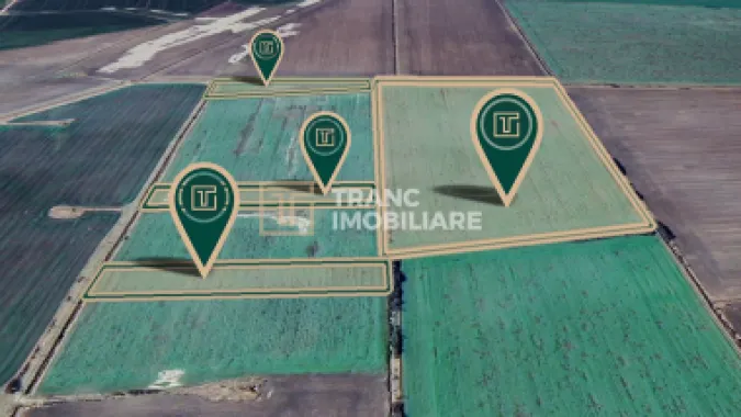 Teren agricol de 11,75 ha de vânzare, la 1,5 km de Turnu, jud. Arad
