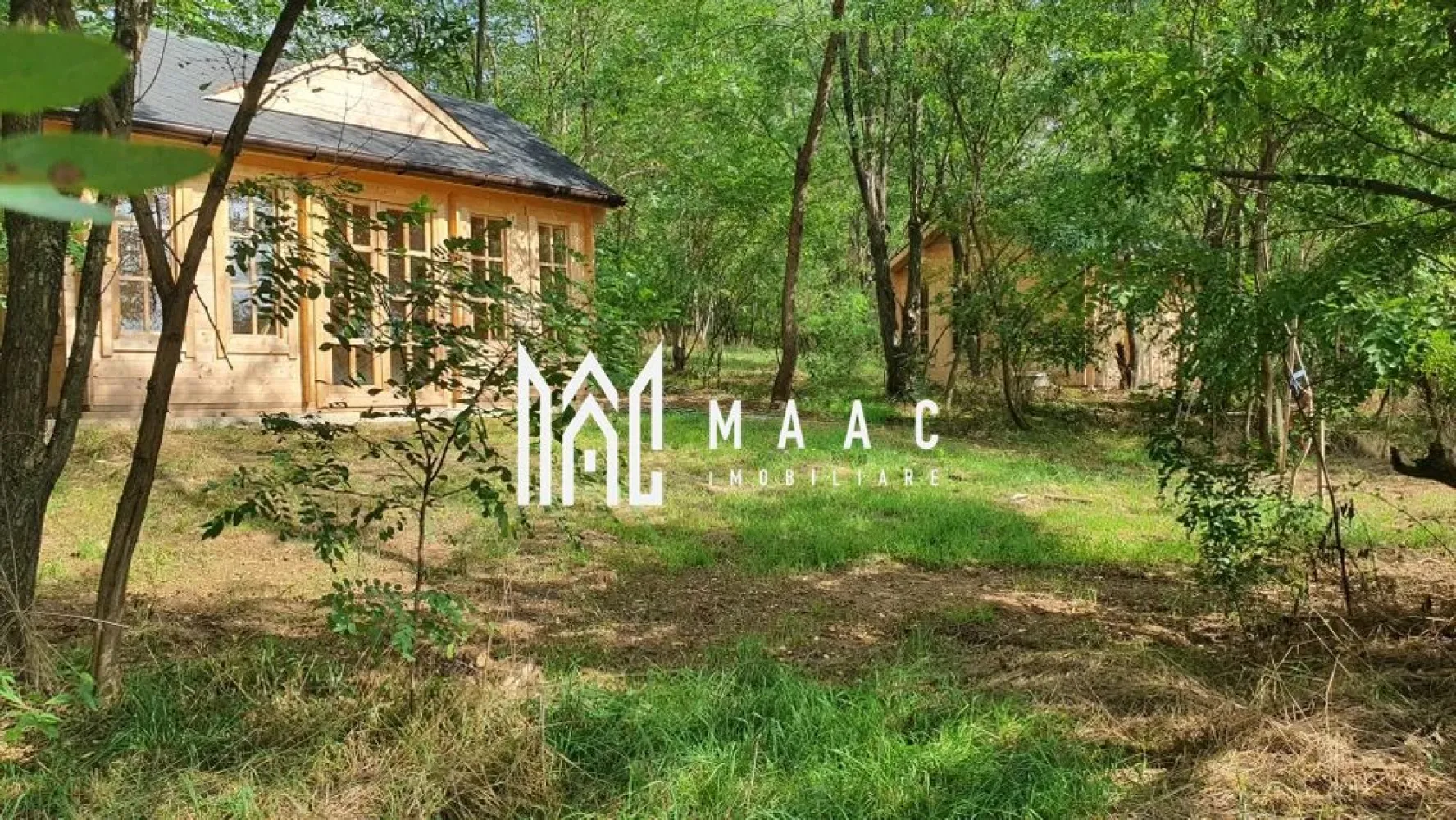 Teren | Mohu | 1703 MP | - MAAC IMOBILIARE vă oferă teren superb de vânzare în Mohu, la marginea satului, pe dealul din spatele bisericii.

 Suprafața terenului este de 1703 m², cu deschidere de 25,74 m și lungime de 70,9 m. 
Terenul este acoperit de o pădure de salcâmi tineri, printre care s-au construit 3 anexe din lemn, cu autorizație de construcție. Cabanele de lemn de pin nordic sunt construite pe fundație de beton, iar acoperișul este izolat și acoperit cu șindrilă. 

Terenul este racordat la apă curentă și dispune de fosă septică pentru canalizare (fosa septică are o capacitate de 2000 m³).

Pentru mai multe detalii specificati ca ati vazut anuntul cu ID: CP2297889