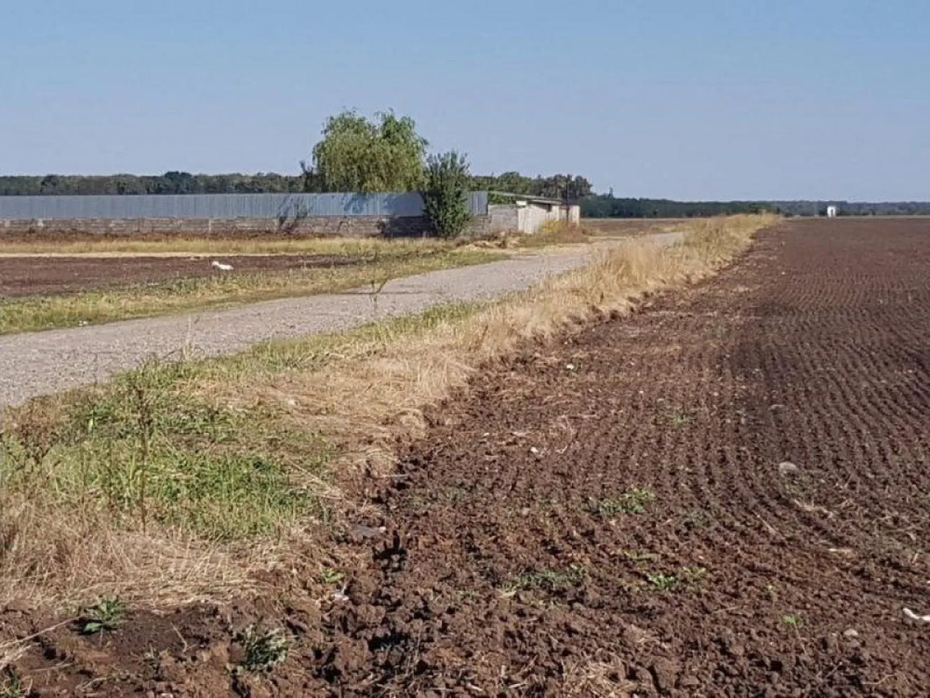 Teren intravilan de vânzare Brănești – DN3, deschidere 60 ml investie - K Imobiliare vă propune spre vânzare un teren intravilan situat în Brănești – zona intrare Islaz, cu poziționare excelentă direct la DN3, ideal pentru investiții, dezvoltare rezidențială sau proiecte comerciale.

📍 **Localizare strategică** – acces direct din DN3, zonă în dezvoltare, cu vizibilitate foarte bună și acces facil către București.

📐 **Suprafață totală:** 30.700 mp
📏 **Deschidere:** 60 ml (dublă deschidere)
🏗️ **Regim urbanistic:** POT 50%, Hmax P+4
⚡ **Utilități:** disponibile în zonă

✨ **Avantaje:**

* Deschidere generoasă la drum național (DN3)
* Teren plat, ușor de parcelat
* Pretabil pentru ansamblu rezidențial, hale, depozite sau spații comerciale
* Zonă în plină dezvoltare imobiliară
* Acces rapid către București și centura capitalei

Acest teren de vânzare în Brănești reprezintă o oportunitate excelentă pentru dezvoltatori sau investitori care caută o proprietate cu potențial ridicat și vizibilitate maximă.