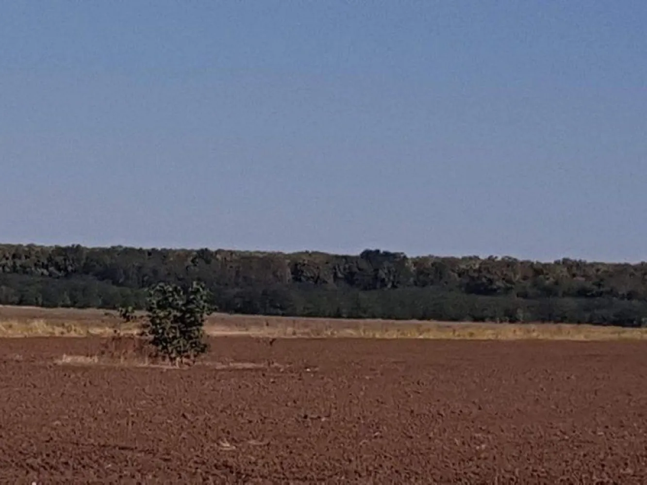 Teren intravilan de vânzare Brănești – DN3, deschidere 60 ml investie