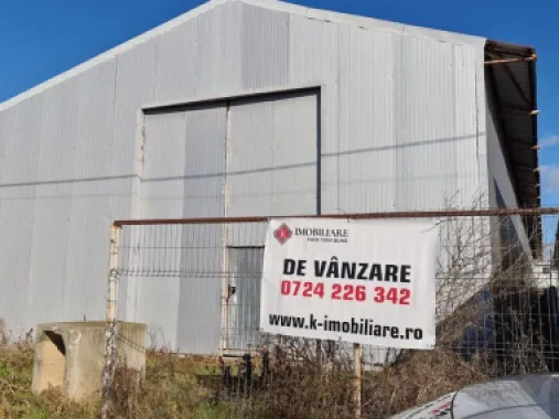 Sinesti -hala productie depozitare suprafata 1350 mp