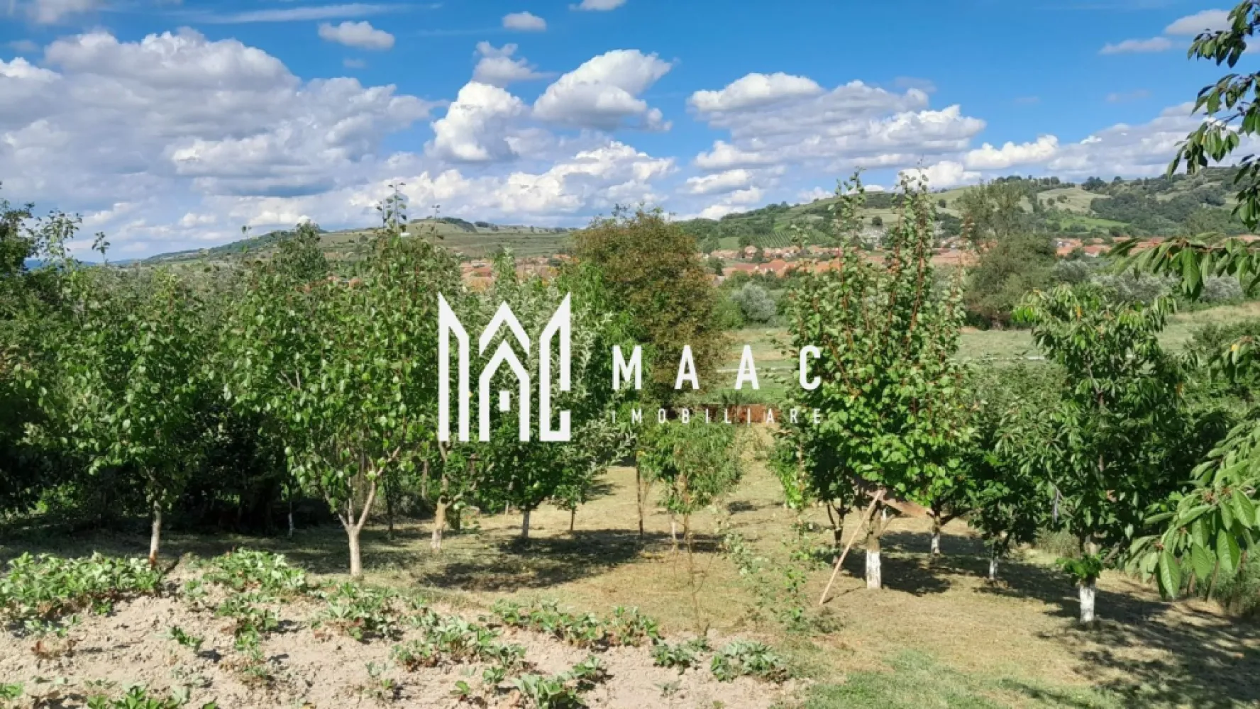 Casa individuala | 4 camere | Teren 2000 MP | Seica Mare - MAAC Imobiliare va prezinta o casă individuală în Șeica Mare.

1. Localizare și Acces
La 400 m de stația CFR și centre comerciale.
Acces din drumul național, cu deschidere de 15 m la stradă.

2. Curte 
Curte cimentată, decorată cu trandafiri.
Zonă de relaxare cu filigorie și grătar.
Grădină de 1200 mp cu pomi fructiferi, căpșuni, zmeură și spațiu de legume.

3. Compartimentare
105 mp utili, incluzând 4 camere, hol, bucătărie, baie, cămară și pivniță.

4. Dotări
Centrală pe gaz, sobe de teracotă în două camere.
Alimentare cu apă, canalizare, cablu TV și internet.

5. Finisaje și mobilier
Vopsea lavabilă, faianță, gresie, ferestre și uși termopan parțial.
Se vinde parțial mobilată pentru flexibilitate.

6. Garaj
Garaj pentru parcare și activități de întreținere.

7. Oportunitate
Ideală pentru familii sau investiție – spațiu generos, bine întreținut, aproape de facilități.

Pentru mai multe detalii precizati telefonic ca ati vazut anuntul cu ID: CP2211888