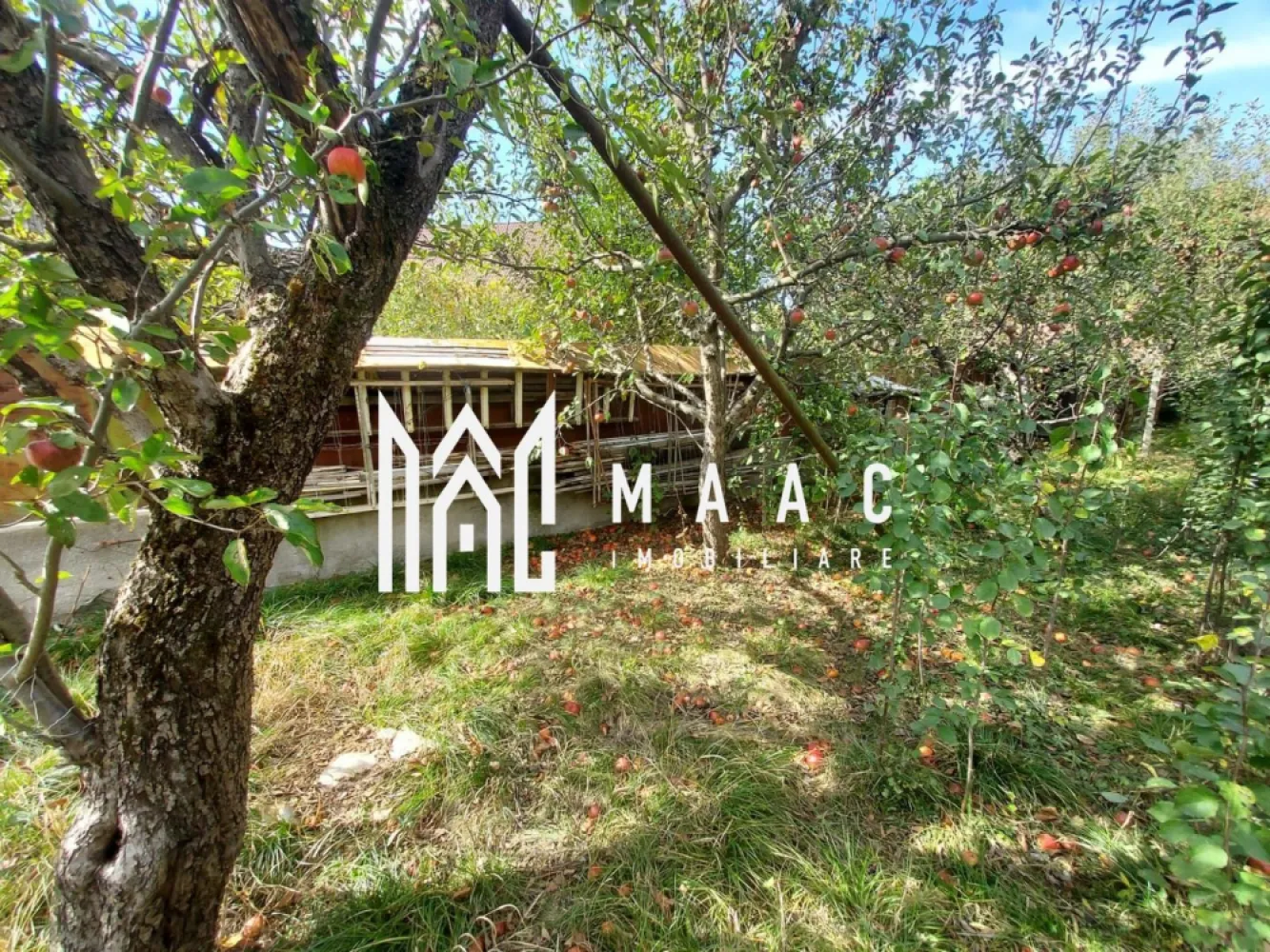 Casa 3 Camere | 67 MPU | 507MP Teren | Piata Sadu