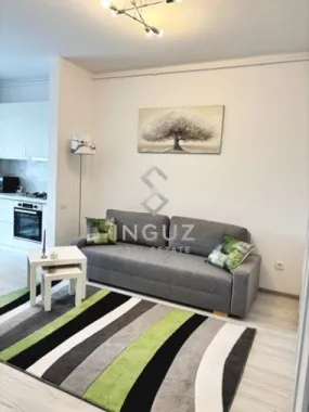 Logo Inguz International logo